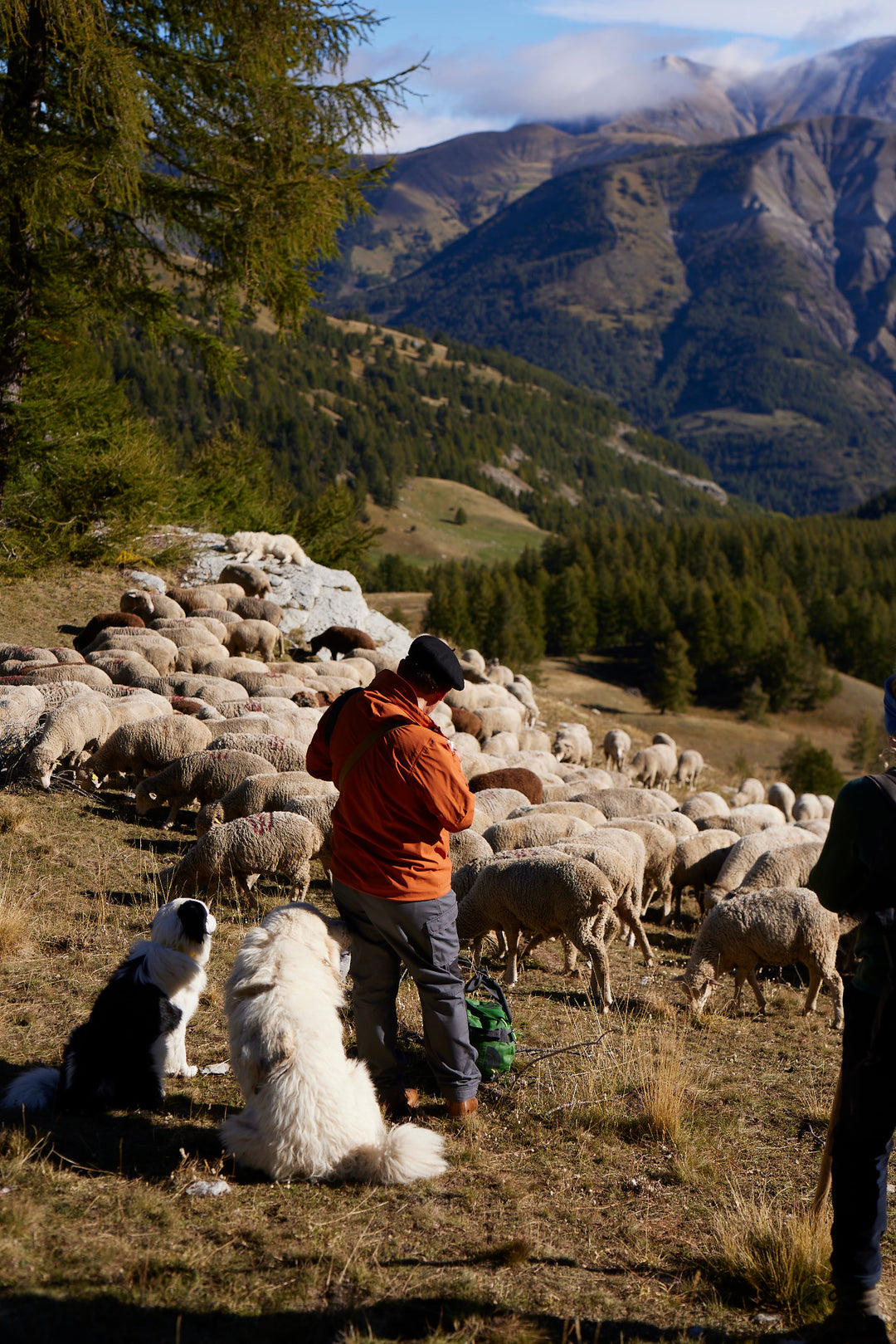 Michael_Dal_Grande_Transhumance_Bekleidung_Merinowolle
